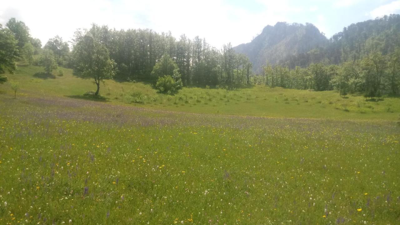 Villa Kamp Rafting Kljajevica Luka Pljevlja Esterno foto